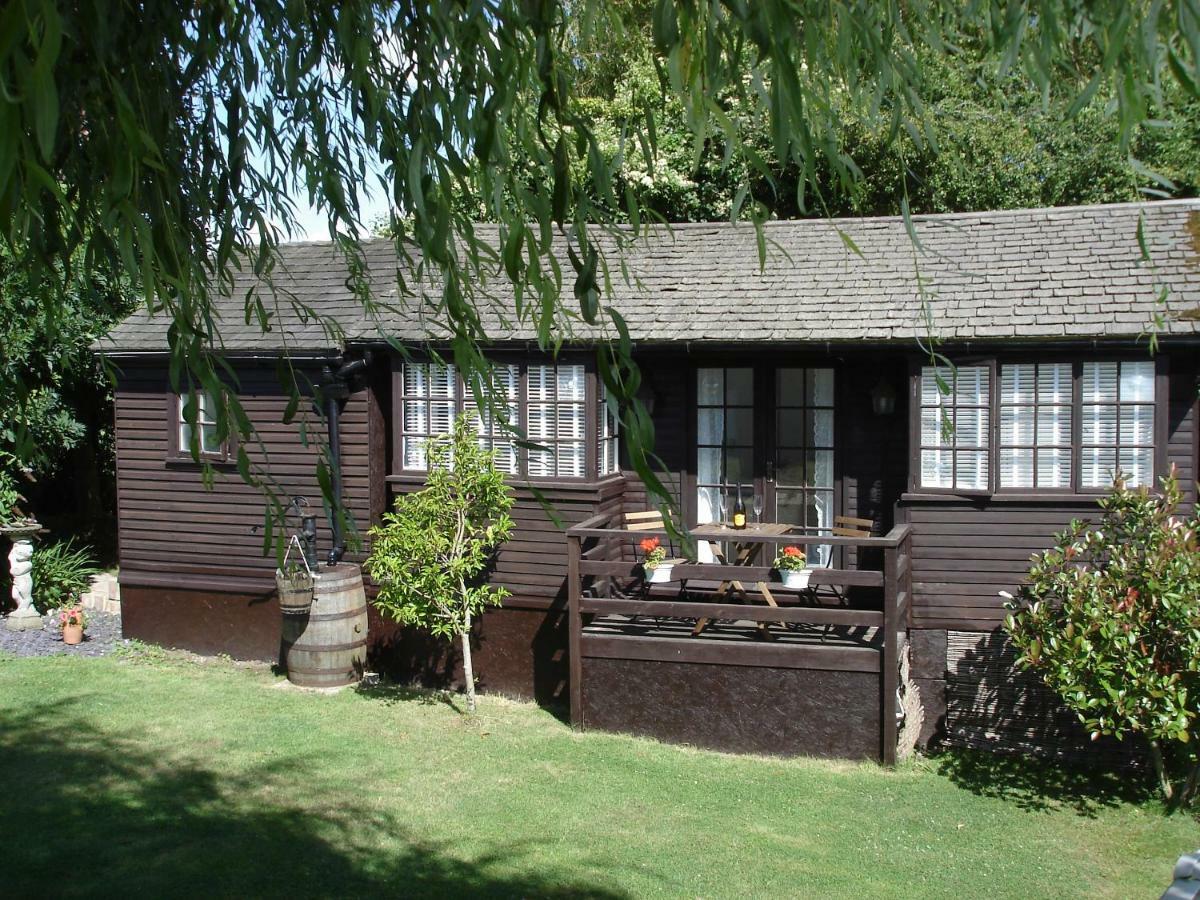 Hollydene Lodge 위트스터블 외부 사진