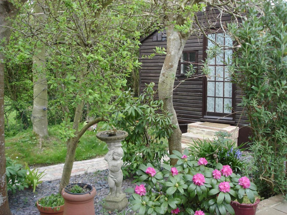 Hollydene Lodge 위트스터블 외부 사진